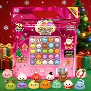 Crazy Fun RMS 2026 Christmas Advent Calendar, 24 Days of Dumpling Surprises with Cute Mini Dumpling Stress Relief Balls, Xmas Countdown Calendar Gifts for Party Favors