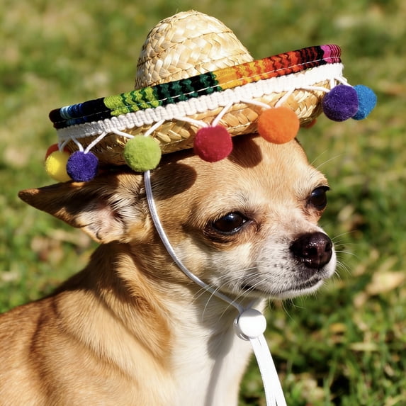 Crazy Night Mini Sombrero Top Hat Headband Tiny Straw Hat Small Sombreros for Dog Cat,Mexican Fiesta Birthday Party Supplies Table Decoration