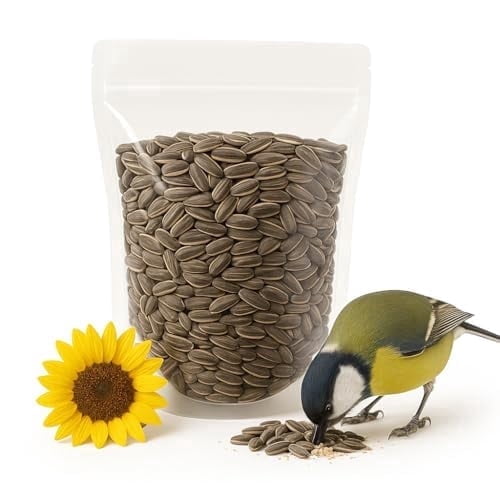 Crazy Nuts | USA Grown Raw Sunflower Seeds in Shell, 1lb | Unsalted Sunflower Seeds for Birds and for Eating