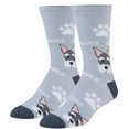 thumbnail image 1 of Crazy Socks, Womens, Animals, Shnauzer, Crew Socks, Novelty Silly Fun Cute, 1 of 6