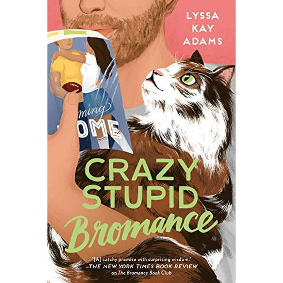 Pre-Owned Crazy Stupid Bromance (Paperback) 1984806130 9781984806130