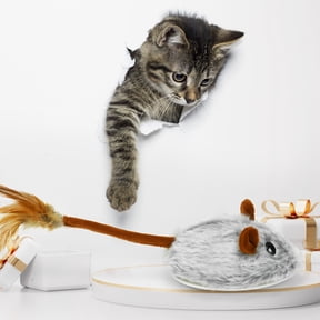 CrazyDeer Remote Control Mouse Cat Toy Bluetooth App Control Rechargeable Mouse Toys for Cats