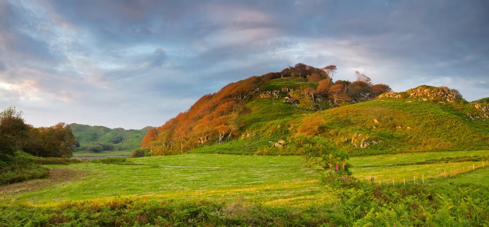Creag Mhor hill at sunset light Scottish Highlands Scotland Canvas Art - Panoramic Images (12 x 24)