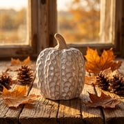 Cream Embossed Ceramic Pumpkin Set 2 Sizes, Distressed Textured Pumpkin Sculptures for Table Centerpiece, Matte Ceramic Pumpkin for Fall Thanksgiving Decor, Cream Pumpkin Ornaments for Mantel Shelf