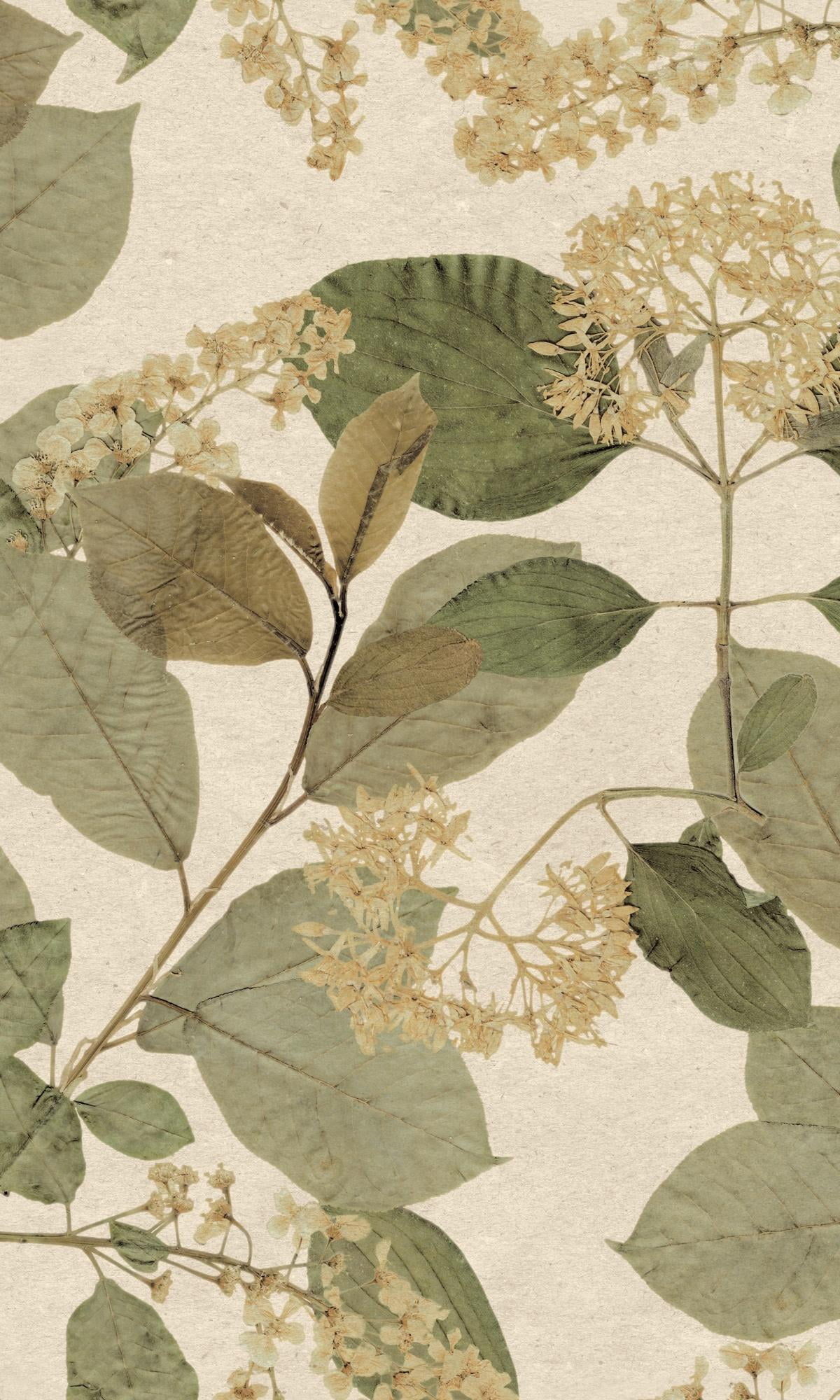 Cream Green Tropical Leaf Print Double Roll Non-Woven Non-Pasted Textured Wallpaper 57 Sq. Ft.
