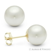 ALFRED & VINCENT Cream White Freshwater Pearl Stud Earrings in 14k White or Yellow Gold