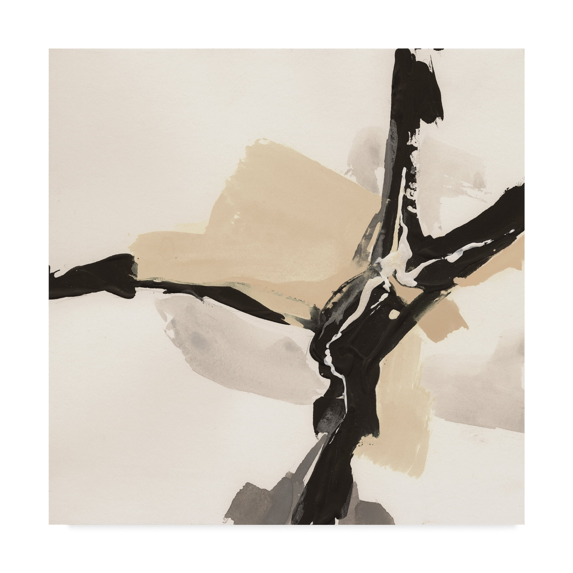 Creamy Tan III' Canvas Art by Chris Paschke