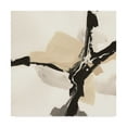 thumbnail image 1 of Creamy Tan III' Canvas Art by Chris Paschke, 1 of 3