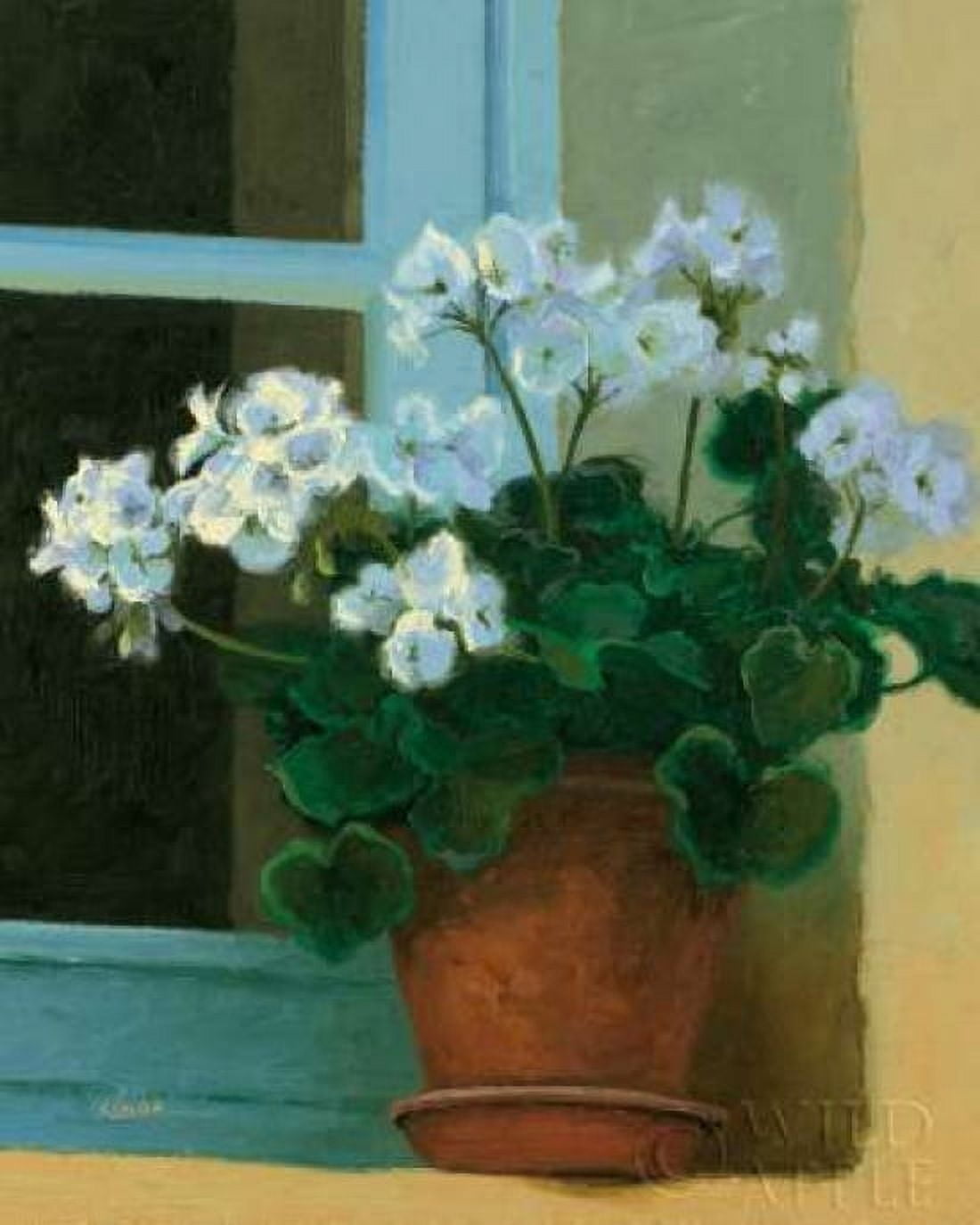 Creancey Geraniums II Canvas Art - Shirley Novak (24 x 30)