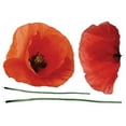 thumbnail image 1 of Crearreda Poppies Wall Decals, 27.5-in by 39.4-in, 7.52 sq. ft., 1 of 2