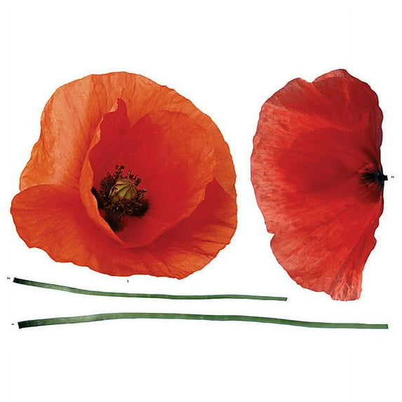 Crearreda Poppies Wall Decals, 27.5-in by 39.4-in, 7.52 sq. ft.