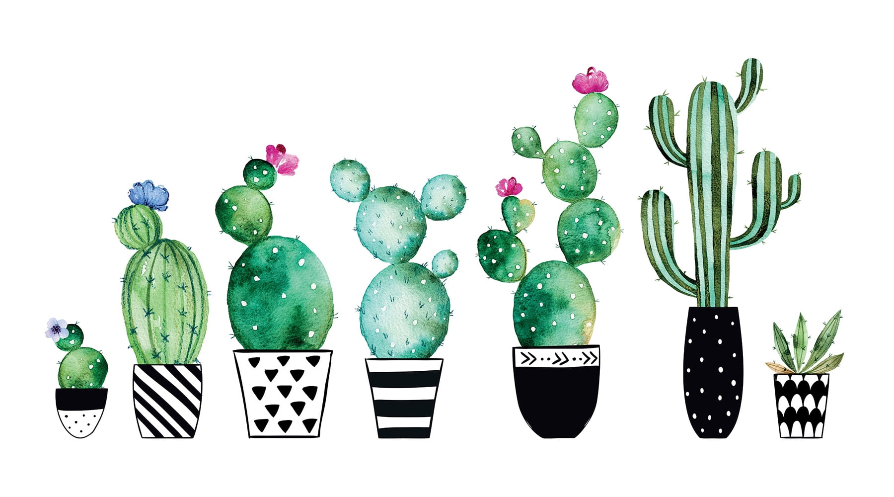 Crearreda Watercolor Cactus Wall Decals Set of 8
