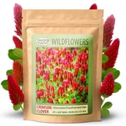 Created By Nature Crimson Clover Seeds, 10,000 Red Annual Wildflower Seeds