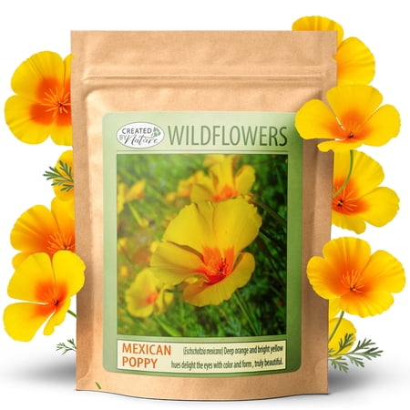 Created By Nature Mexican Poppy Seeds, 1,620 Annual Wildflower Seeds