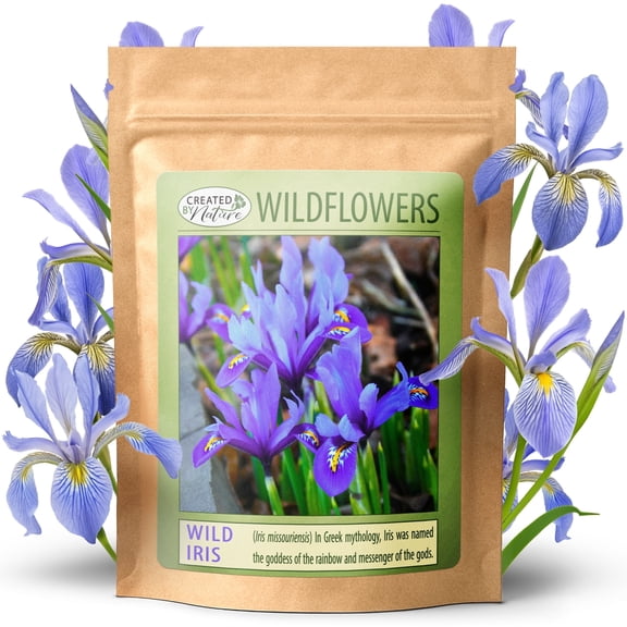 Created By Nature Wild Iris Seeds, 400 Purple Perennial Flower Seeds