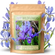 Created By Nature Wild Iris Seeds, 400 Purple Perennial Flower Seeds