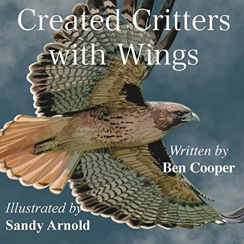Pre-Owned Created Critters With Wings Paperback