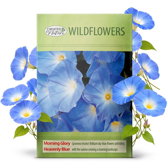 Created By Nature, Morning Glory Seeds - Heavenly Blue, Blue Climbing Flowers for Trellis, Wildflowers to Attract Pollinators, 850 Annual Flower Seeds, Covers Up to 50 sq. ft. (Ipomoea tricolor)