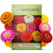 Created By Nature, Zinnia Dahlia Wildflower Seed Mix, Red, Pink, Orange, Yellow, Purple, and White Annual Flower Seeds, 2,125 Wildflower Seeds Bulk for Pollinator Gardens Zinnia elegans