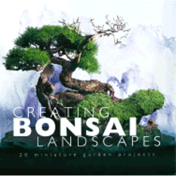 Pre-Owned Creating Bonsai Landscapes: 18 Miniature Garden Projects (Paperback) 1580174841 9781580174848