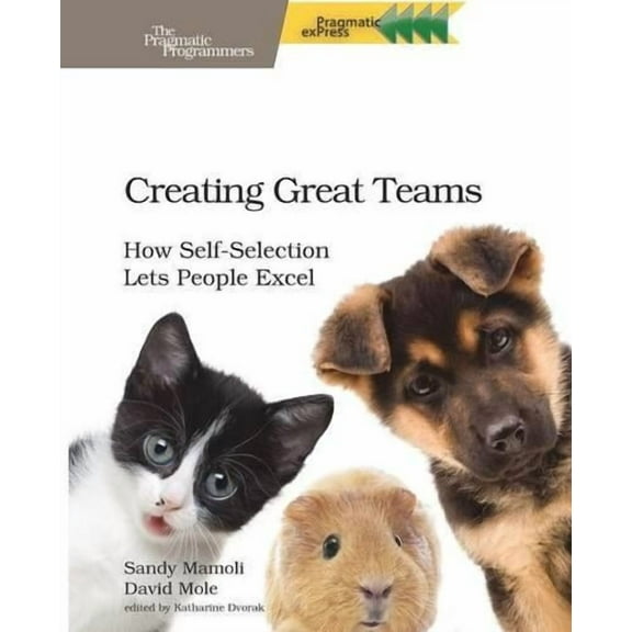 Creating Great Teams: How Self-Selection Lets People Excel (Paperback)