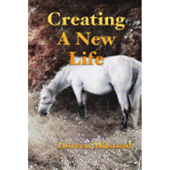 Creating a New Life (Paperback)