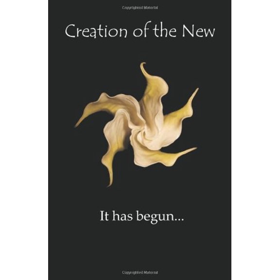 Pre-Owned Creation of the New (Paperback) 0615535518 9780615535517