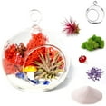 thumbnail image 1 of Creations by Nathalie - DIY Terrarium Kit with Live Air Plant (Local & Fresh from Florida), Glass Globe, Reindeer Moss, Figurine, Healing Crystal Chips and Sand - Handmade in USA, 1 of 9