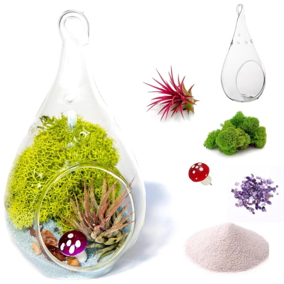 Creations by Nathalie - DIY Terrarium Kit with Live Air Plant - 5" Glass Tear Drop, Reindeer Moss, Figurine, Healing Crystal Chips and Sand - Handmade in USA