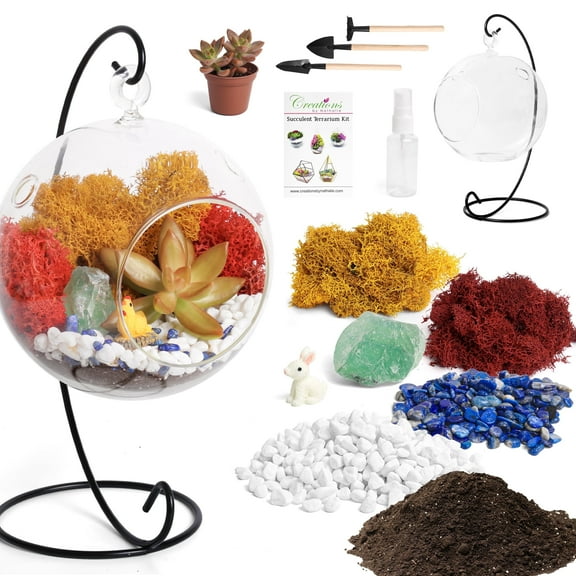 Creations by Nathalie DIY Terrarium Kit: Mini-Ecosystem with Glass Globe, Moss, Crystals & Rocks - Easy Assembly - Ideal Nature Lover Gift - No Plant - USA Made