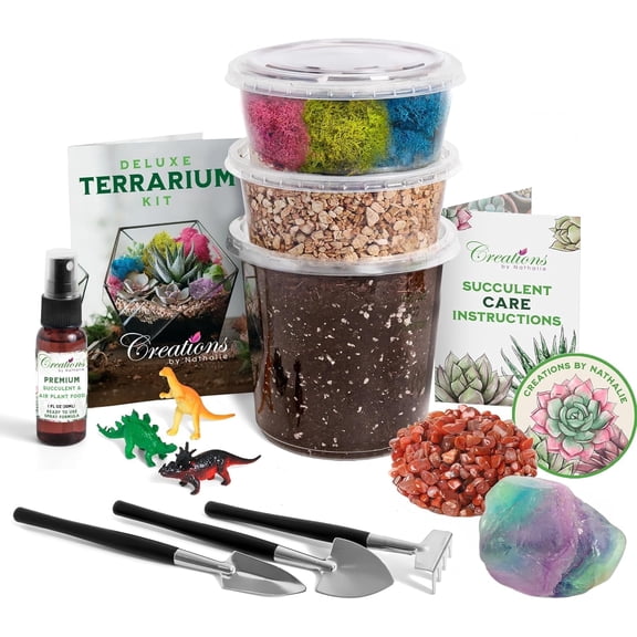 Creations by Nathalie – DIY Small Terrarium Kit for Succulents, Cacti & Air Plants, Includes Premium Soil, Moss, Pebbles & Tools, Plant Starter Kit, Closed Terrarium Supplies, Handmade in USA