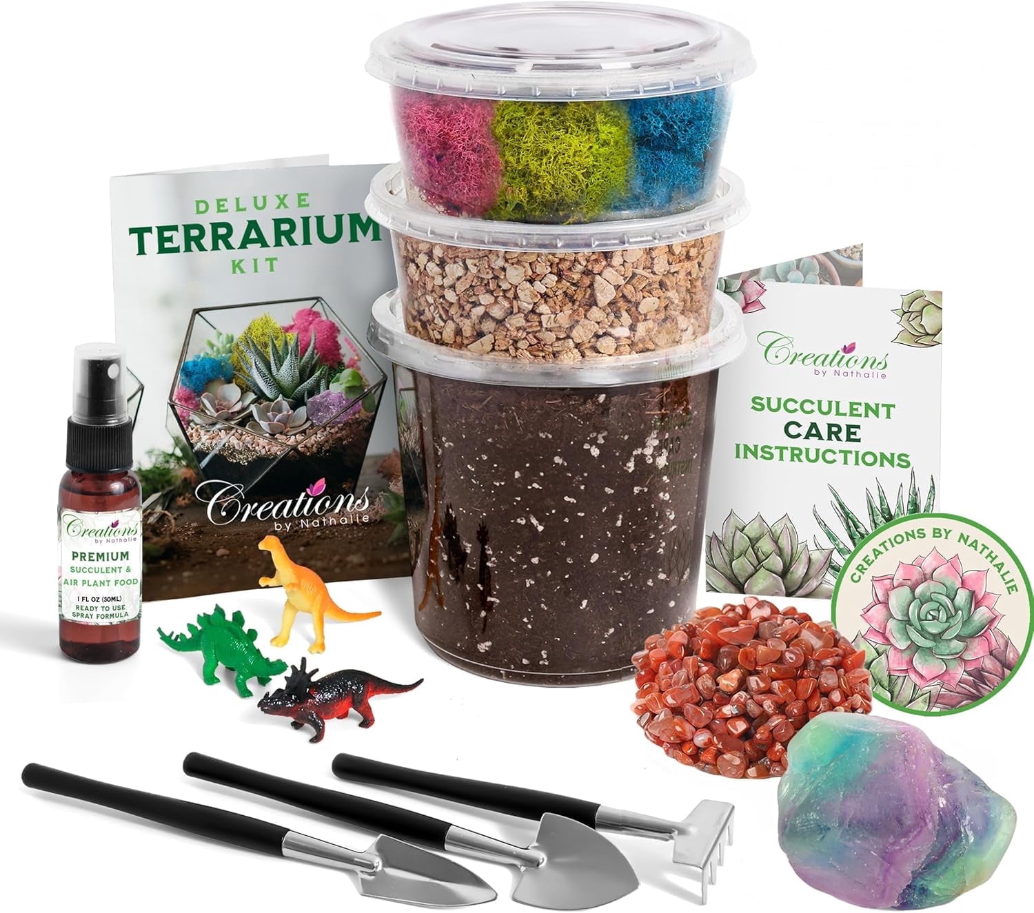 Creations by Nathalie – DIY Small Terrarium Kit for Succulents, Cacti ...