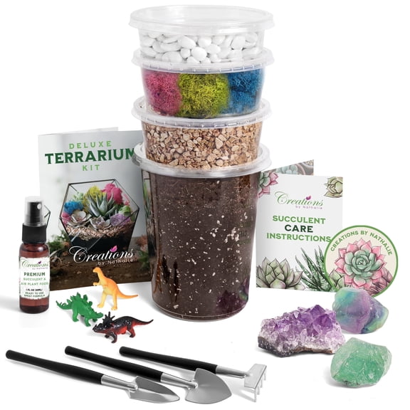 Creations by Nathalie DIY Terrarium Kit - For Succulents, Cacti & More