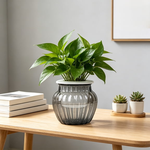 Creatitoy Transparent Plastic Hydroponic Pot with Automatic Water Absorption, Self-Watering Planter for Pothos and Indoor Plants