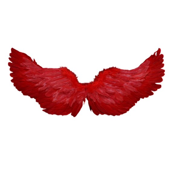 Creative Angel Feather Wings with Elastic Straps Bright Color Lightweight Costume Cosplay Wings Photography Props Christmas Halloween Supplies