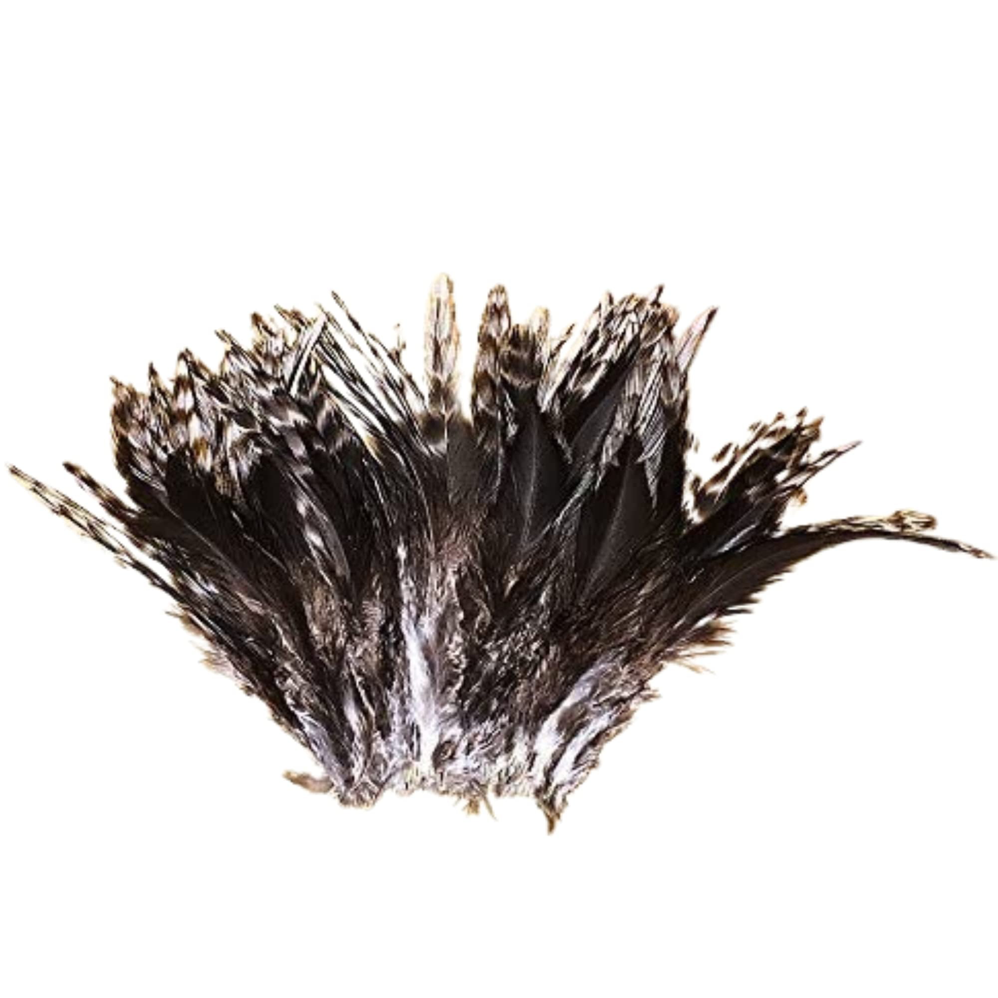 DYNWAVE 50Pcs Feathers for Fly Tying Fly Tying Feather Fly Wing Tail  Material Fly Tying Supplier for Decorating Cosplay Hat Wedding