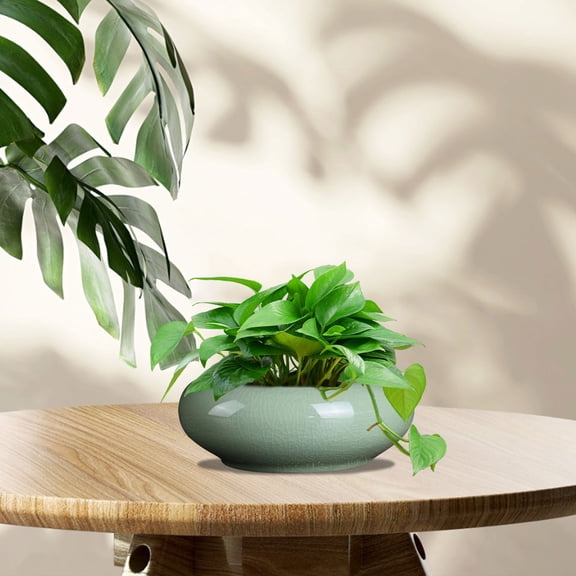 Creative Bonsai Potted Flower Pot Ice Crack Pattern Ceramic Glazed Plant Pots Succulent Planter Bowl Vintage Flower Pots Cactus Bonsai Pots Indoor Plant Containers Home Office Decor Cylinder Planter