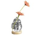 thumbnail image 1 of Creative Bubble Vase Hydroponics Glass Vase Transparent Pink Flower Arranger Table Decoration, 1 of 5