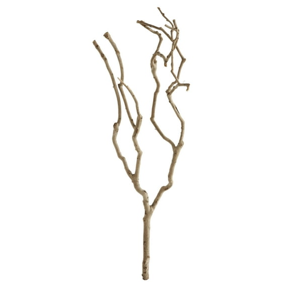 Creative Co-Op 27" Natural Tea Tree Branch Decoration (Each one will vary)