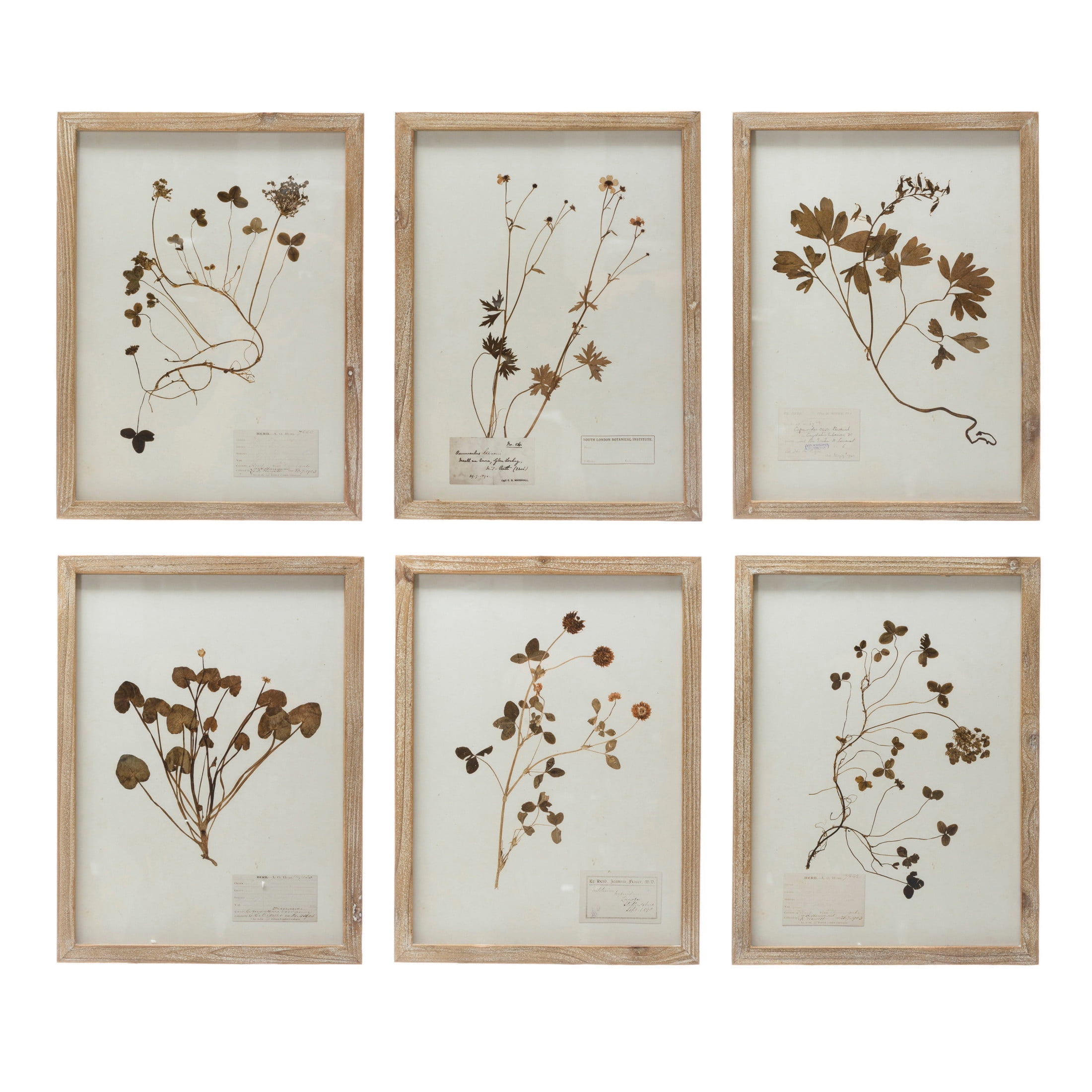 Set of 6 Botanical Prints in Light Brown Wood Frames