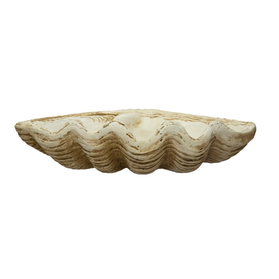 Creative Co-Op Coastal Decorative Magnesia Clamshell, Natural