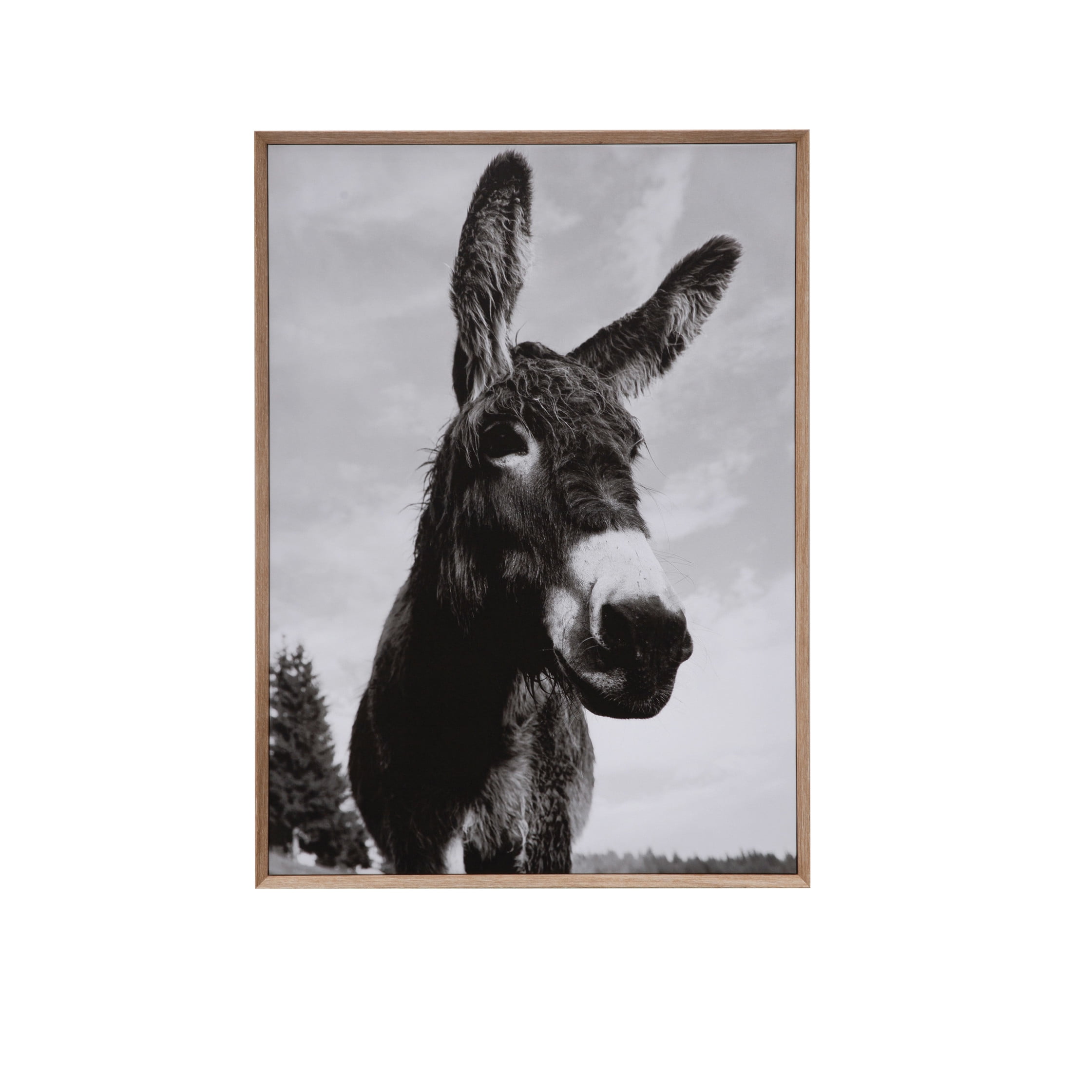 Framed Black and Gray Donkey Canvas Wall Art 37.25 in.