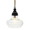 thumbnail image 1 of Creative Co-Op Glass and Distressed Wood Ceiling Light, Black, 1 of 6