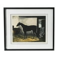 thumbnail image 1 of Creative Co-Op Horse Print with Wood Frame, 1 of 6
