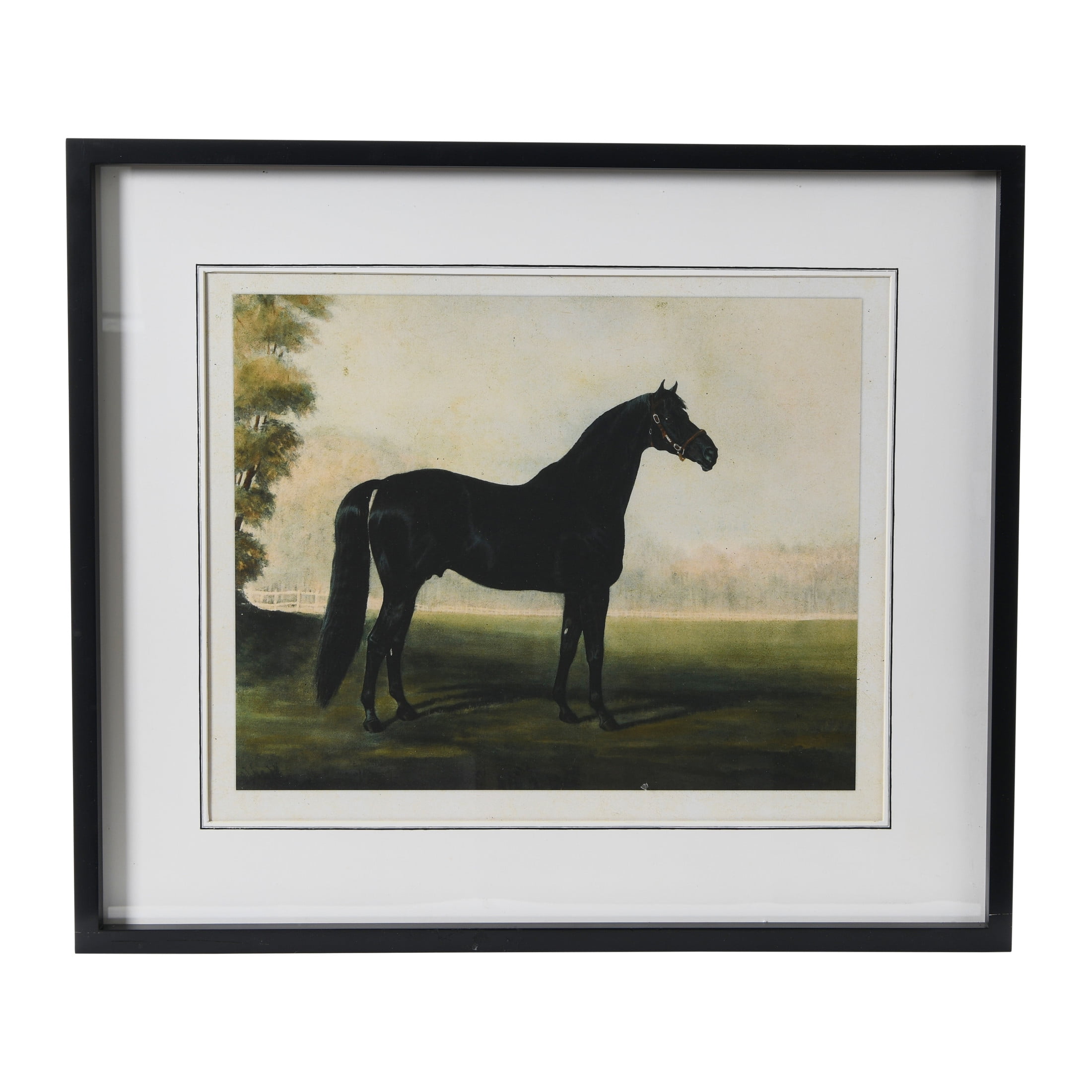 Elegant Black Horse Print with Wood Frame, 28" x 24"