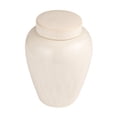 thumbnail image 1 of Creative Co-Op Large Decorative Debossed Stoneware Ginger Jar with Pattern, Lid and Reactive Glaze, White, 1 of 4