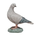 thumbnail image 1 of Creative Co-Op Pastoral Perch Resin Pigeon, Multicolor, 1 of 3