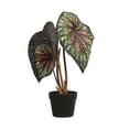 Creative CoOp Round Faux Begonia Plant in Plastic Pot, Natural and