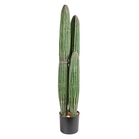 Creative Co-Op Round Faux Pachycereus Cactus in Plastic Pot, Green