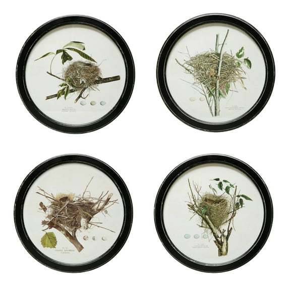 Creative Co-Op Round Framed Wall Decor with Vintage Reproduction Nest Print, 4 Styles